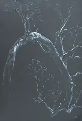 Tree Branch at Night